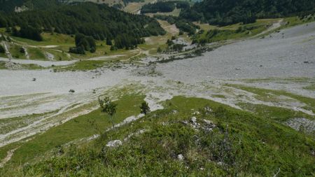 Pas de la Posterle. Arête végétale de descente regard en aval.