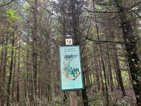 La Route des Sapins, panneau pédagogique