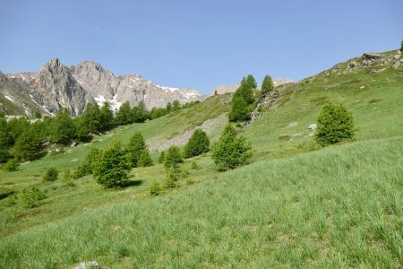 Traverser sous le pierrier et remonter le long de la petite crête boisée