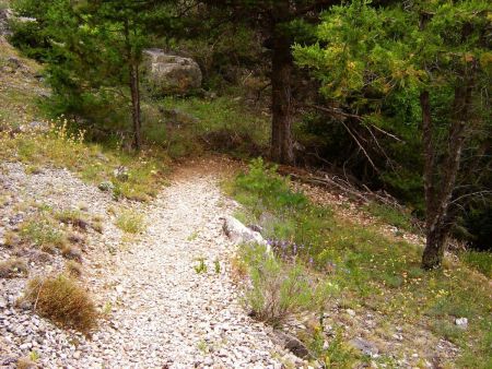 Sentier de descente.