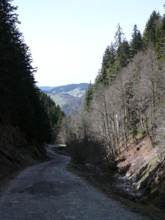 Remontée de la vallée des Nants.