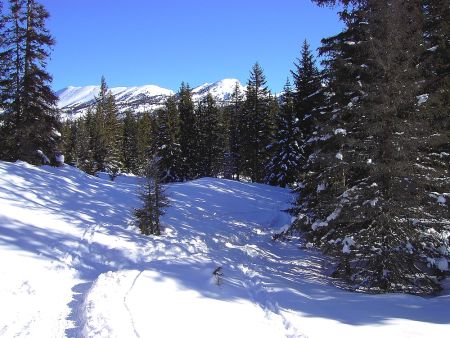 Les crêtes des Rochers de la Balme