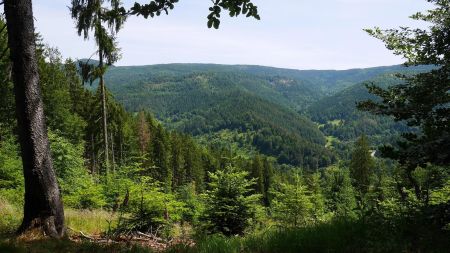 Point de vue à Oberstgrüb.