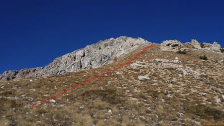 Sur la croupe, passage à gauche des rognons