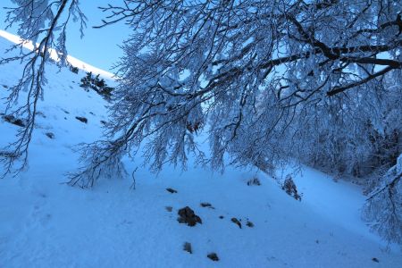 Dans la dernière tirée vers le col de la Croix.