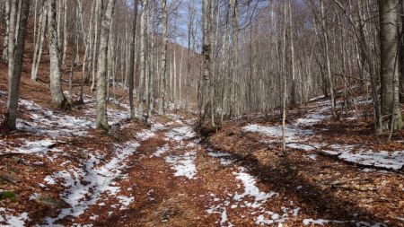 La belle combe de Chavalet, avec de la neige à partir de 1300 mètres d’altitude