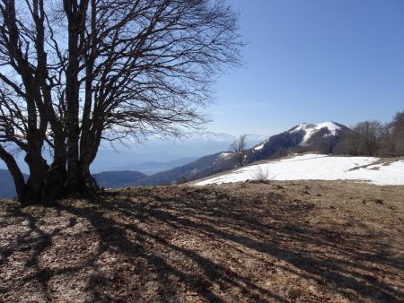 Mont de la Vierge