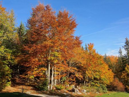 Les couleurs chaudes automnales sur les hauteurs de Corrençon