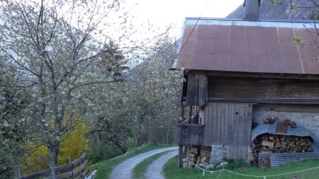 Le chalet des Diors