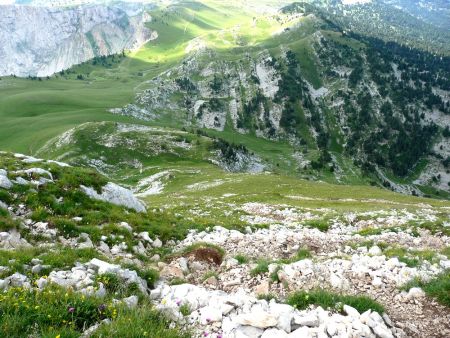 Dans la montée au Grand Veymont