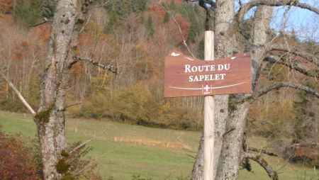  La route du Sapelet