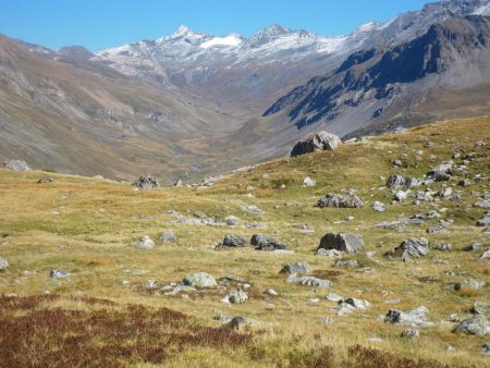 Terrasse pour une marmotte avec vue sur le vallon de la  Rocheure