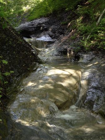 Le torrent des Aravis au pont de Foiroux.