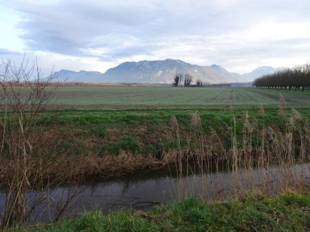 Ruisseau du Coisetant et les Bauges