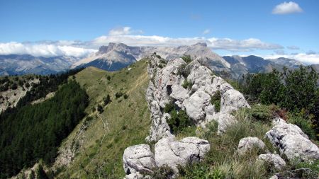 Arête de la Manche.