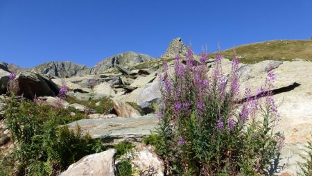 Grand Perron (2521m)