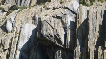 Le St Bernard de Côte Belle ?