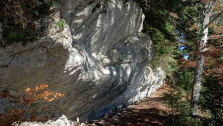 Sur le chemin de la Faîta.