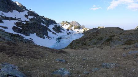 Lac Longet et parterre de crocus