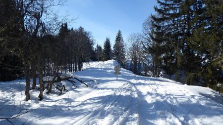 Col du Drayon