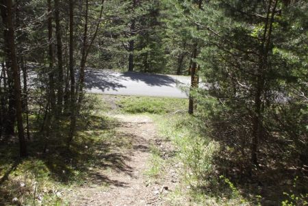 Traversée de route (petite, la route)