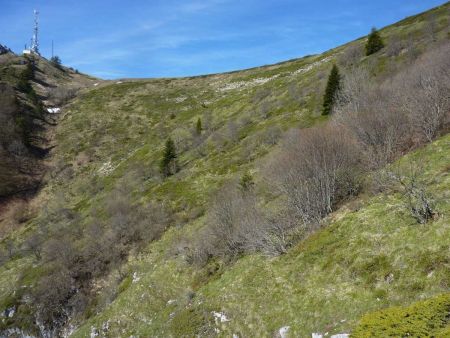 Au pied de la descente : vue arrière. Cheminer au mieux dans cette végétation basse