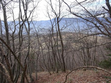 Chemin du Garde : le Malpassant à travers les arbres