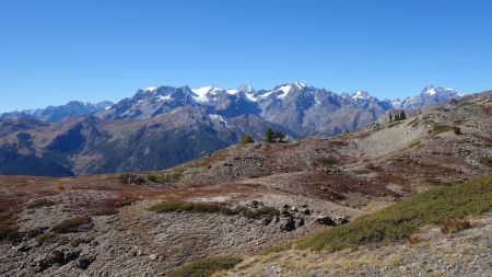 Joli panorama sur les Écrins dés le début du parcours.