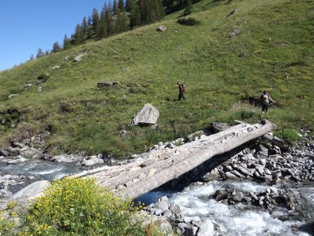 Le pont en troncs