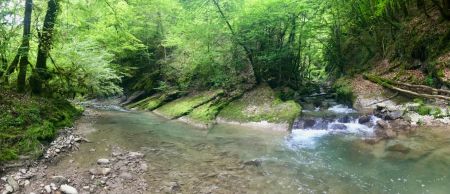 Gorges de la Leysse