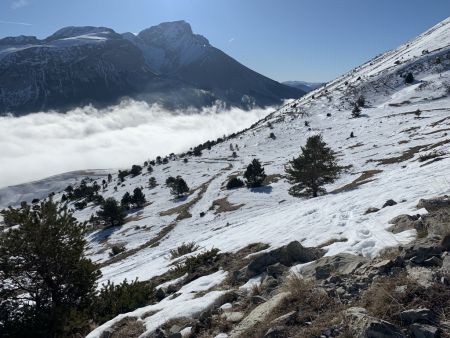 Le brouillard nous aura laissé tranquille.