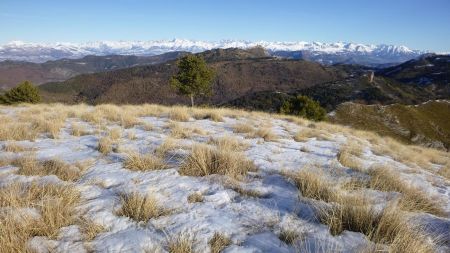 Au Nord, les Ecrins