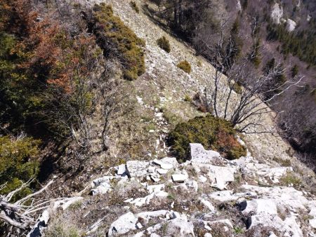 Au-dessus du mur, vue plongeante.