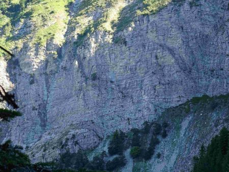 Zoom sur une autre partie de falaise. La fine diagonale que l’on voit, et le dièdre qui lui fait suite, servent de passage pour les chamois, j’en suis convaincu.