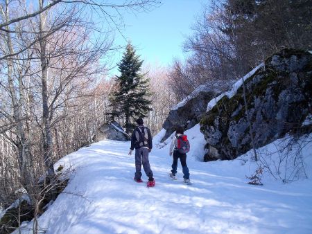 Sur la piste sous Le Palais