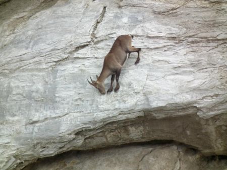 Escalade sur le gypse