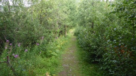 Sur le sentier