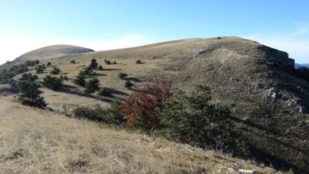 Sur la montagne du Pied du Mulet