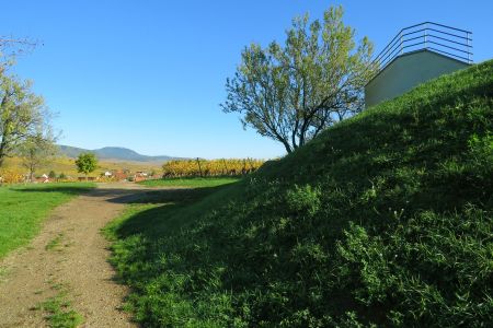 En arrivant au belvédère de la Colline des Amandiers, regard arrière vers le nord. On aperçoit au fond à gauche le château du Haut-Koenigsbourg, perché sur sa colline, derrière Beblenheim.