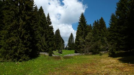 Les murs de pierres sèches font partie intégrante du paysage jurassien.