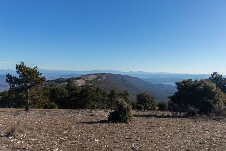 Dans le rétro