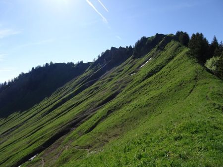 Col du Drison