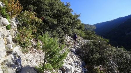 Sur le sentier muletier.