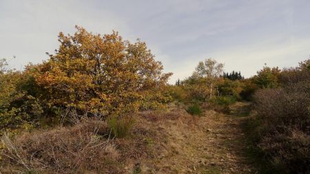 Raide montée au mont Monnet.