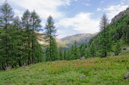 Au débouché de la forêt