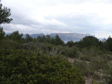 Forêt de la Fontasse