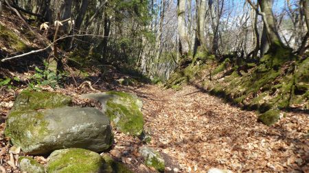 Chemin vers la cascade