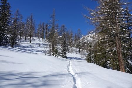 Vallon de Sestrière