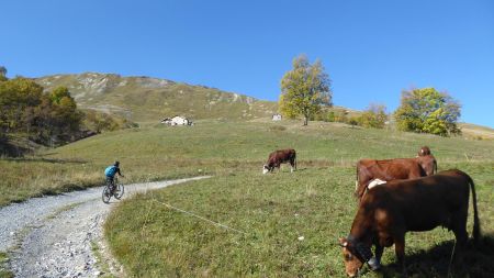 Sous les chalets de Téton