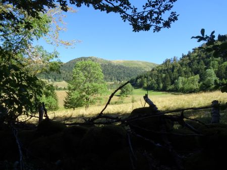 Au loin, le Suc de la Blatte